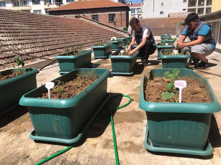 Yiğit Başkanın projesi meyvelerini vermeye başladı