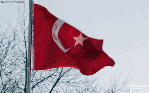 Bir Anzak askerinin Çanakkale savaşı sırasında ailesine yazdığı mektup