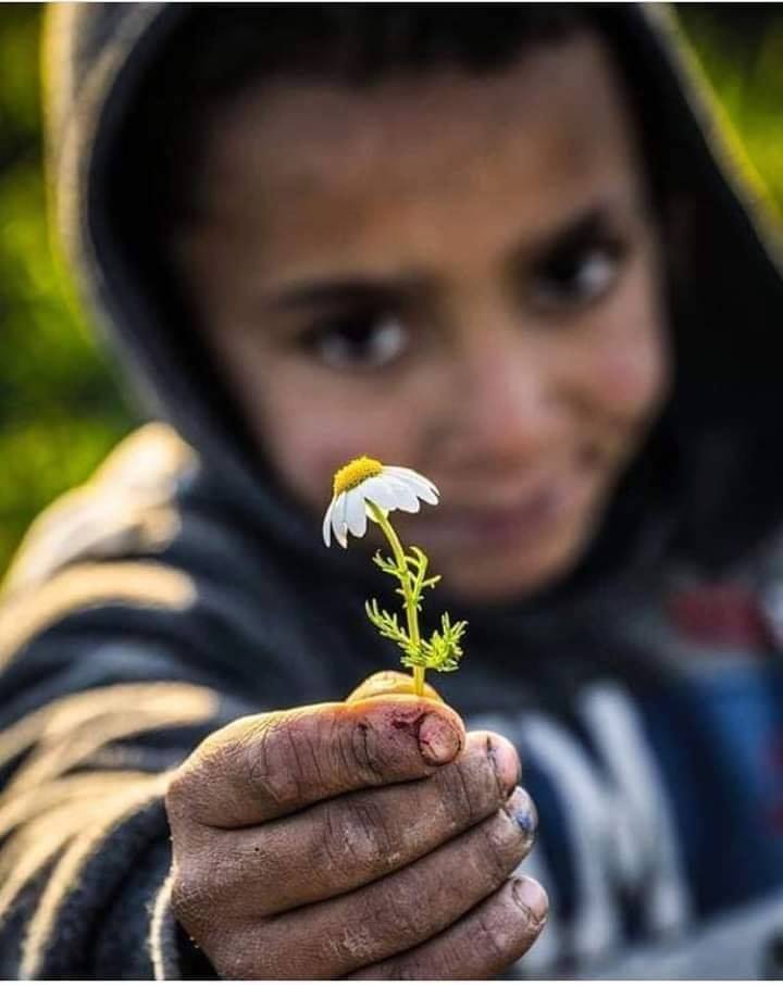 Paranın gücü insanlığı da aldı
