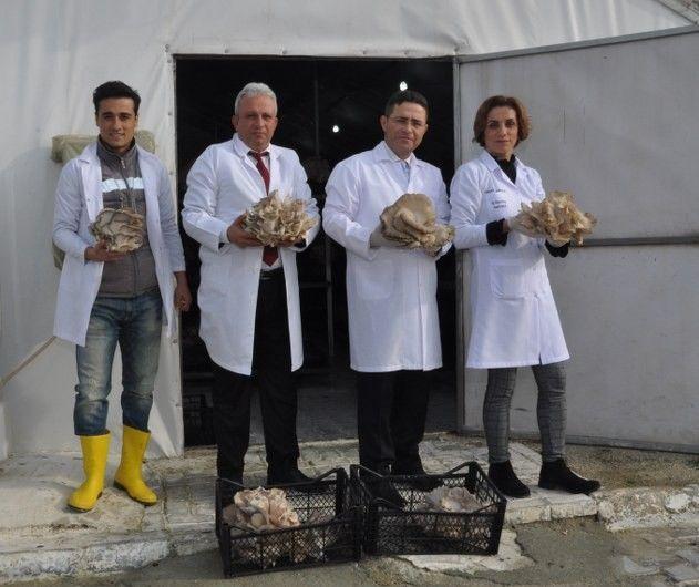 Cezaevinde 2Hasat Zamanı